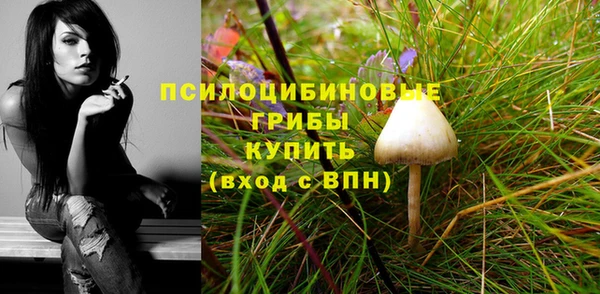 мяу мяу мука Алзамай