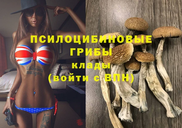 мяу мяу мука Алзамай