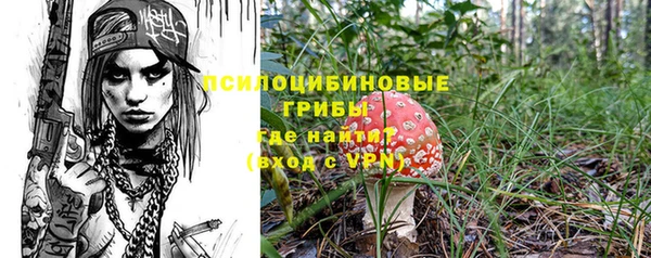 мяу мяу мука Алзамай