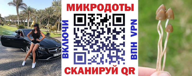 Галлюциногенные грибы мицелий наркошоп Венёв